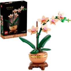 L’orchidée miniature