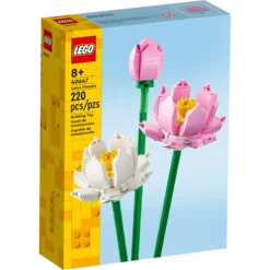 Les fleurs de lotus