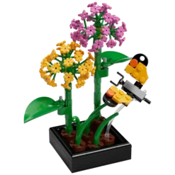 Le Jardin des Papillons