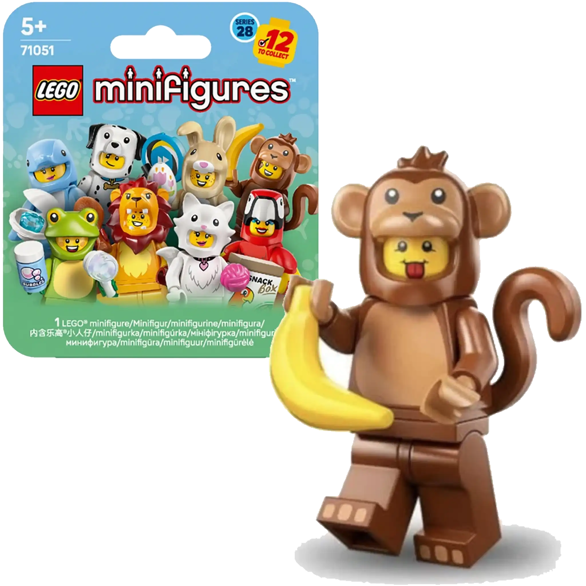 Série 28 - Animals - Singe