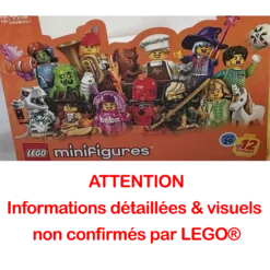 Série 29 - 12 Minifig - Série complète