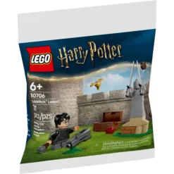 La leçon de Quidditch™